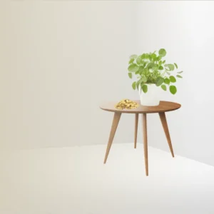 Descubre el Rincón del Dinero: Cómo Atraer Prosperidad a tu Hogar con el Feng Shui