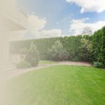 Lee más sobre el artículo Optimiza Tu Jardín con Feng Shui: Guía para un Espacio Armonioso y Energético