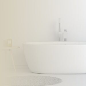 Equilibra la Energía de Tu Hogar con el Poder del Feng Shui: Los Guardianes del Chi y el Baño Perfecto