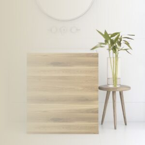 Cómo las Plantas Pueden Transformar la Energía de tu Hogar Según el Feng Shui