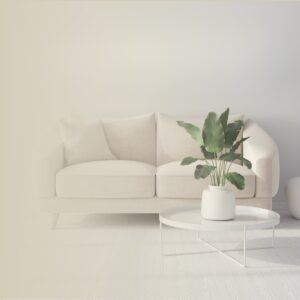 El Impacto del Color y la Decoración del Salón en la Energía de Tu Familia