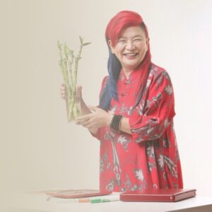 Potenciadores Feng Shui: Potencia tu Vida con Energía en Movimiento